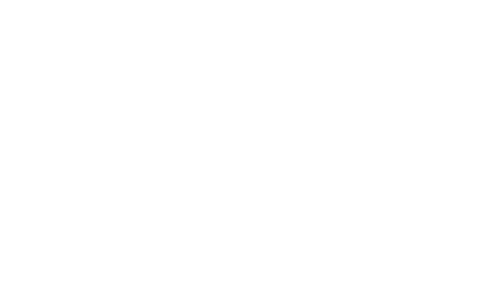 FUN DAY